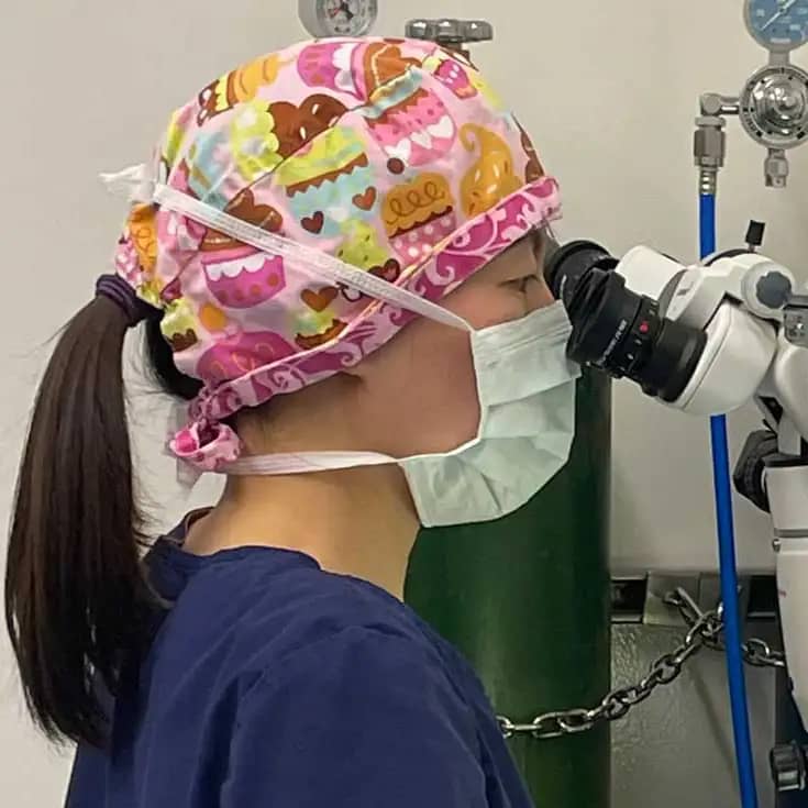 Veterinary technician for the HaMR Core performs a delicate procedure using the surgical microscope. Photo credit Robin Masterman, Blast Scholar